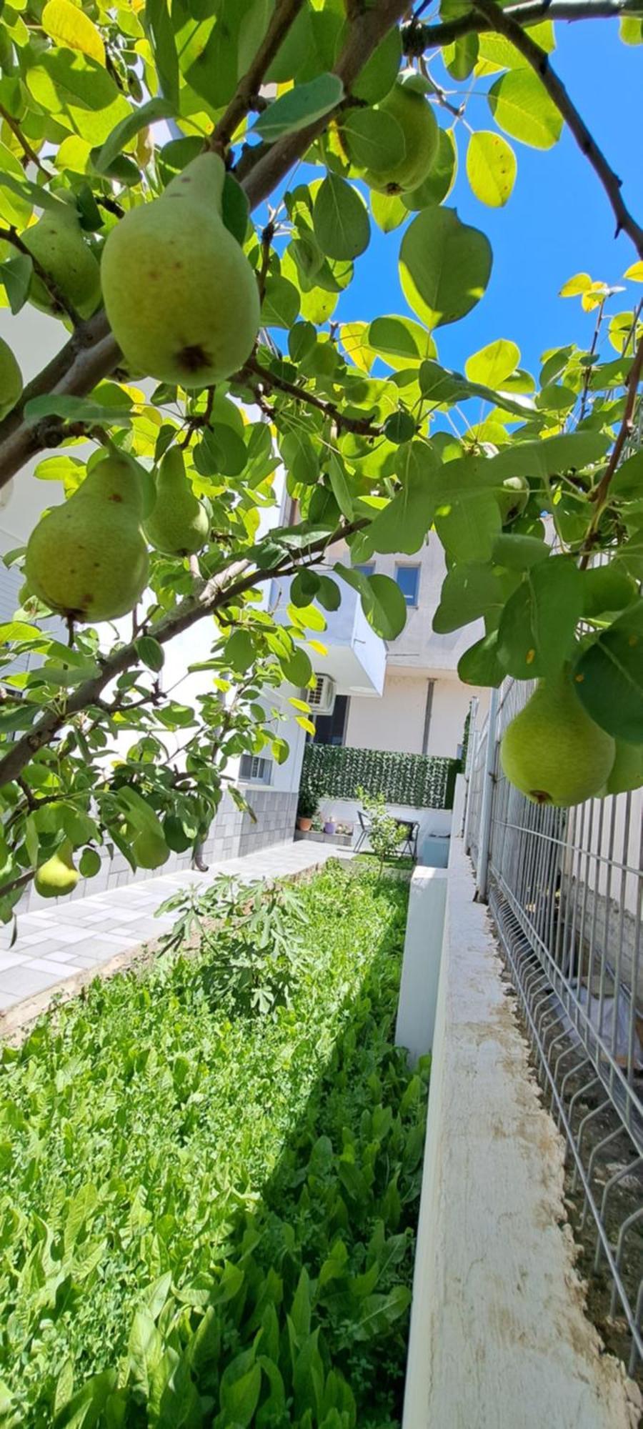 Villa Likaj Berat Zimmer foto